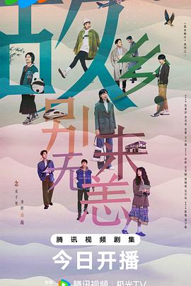 浙江seo优化哪家值得信赖